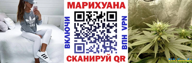 Бошки марихуана марихуана  Теберда 